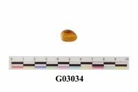 藏品(琥珀)的圖片